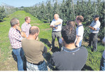 Der Agrarsprecher der FDP-Fraktion im Landtag, Dr. Friedrich Bullinger (Mitte) besucht den Obstbaubetrieb von Matthias Günthör (links daneben) und diskutiert mit den Tettnanger Obmännern die brennenden Agrarthemen.