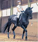 Auch Reithallen gehören zu den förderfähigen Bauvorhaben.