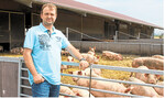 Der Markt für Bioschweine wächst", sagt und erlebt Michael Abele. Grund genug für den Landwirtschaftsmeister, vor fünf Jahren in einen Auslaufstall mit 1200 Mastplätzen zu investieren. Die im Jahresschnitt 2600 fertig gemästeten Bioschweine vermarktet der Landwirtschaftsmeister an die Bäuerliche Erzeugergemeinschaft Schwäbisch Hall (BESH).