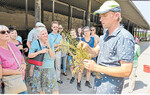 Landwirt Anton Scheidel erklärt den Besuchern, warum Linsen eine Stützpflanze auf dem Acker brauchen.