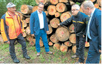 Kreisforstamtsleiter Roland Hartz (2. v. r.) demonstriert Minister Peter Hauk (2. v. l.) und Landrat Dr. Matthias Neth (r.) die Schäden an Buchen.