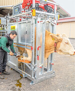 Der Klauenpflegestand Profi E macht die Klauenpflege dank diverser Elektrowinden besonders komfortabel.