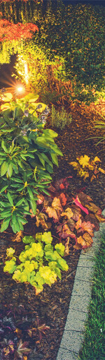 Licht im Garten sollte man wohldosiert einsetzen.