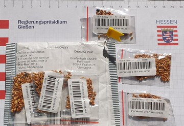 Unerwnschte Post aus China