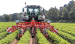 Mechanische Unkrautbekämpfung ist nun bei Lemken auch in Kartoffeln und Möhren möglich.