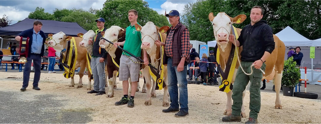 Die prämierten Schönheiten bei der Jubiläumsrinderschau in Ellwangen.