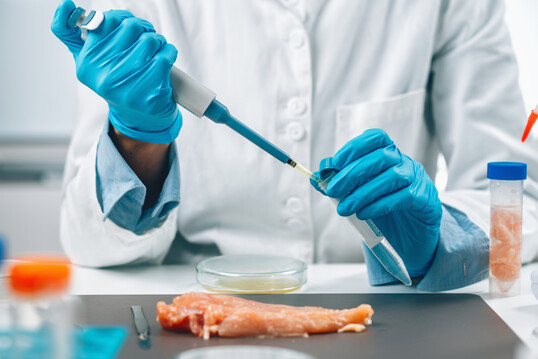 Ein effektives Salmonellenmonitoring hilft, kontaminiertes Geflgelfleisch frhzeitig zu erkennen und die Verbreitung zu stoppen. 