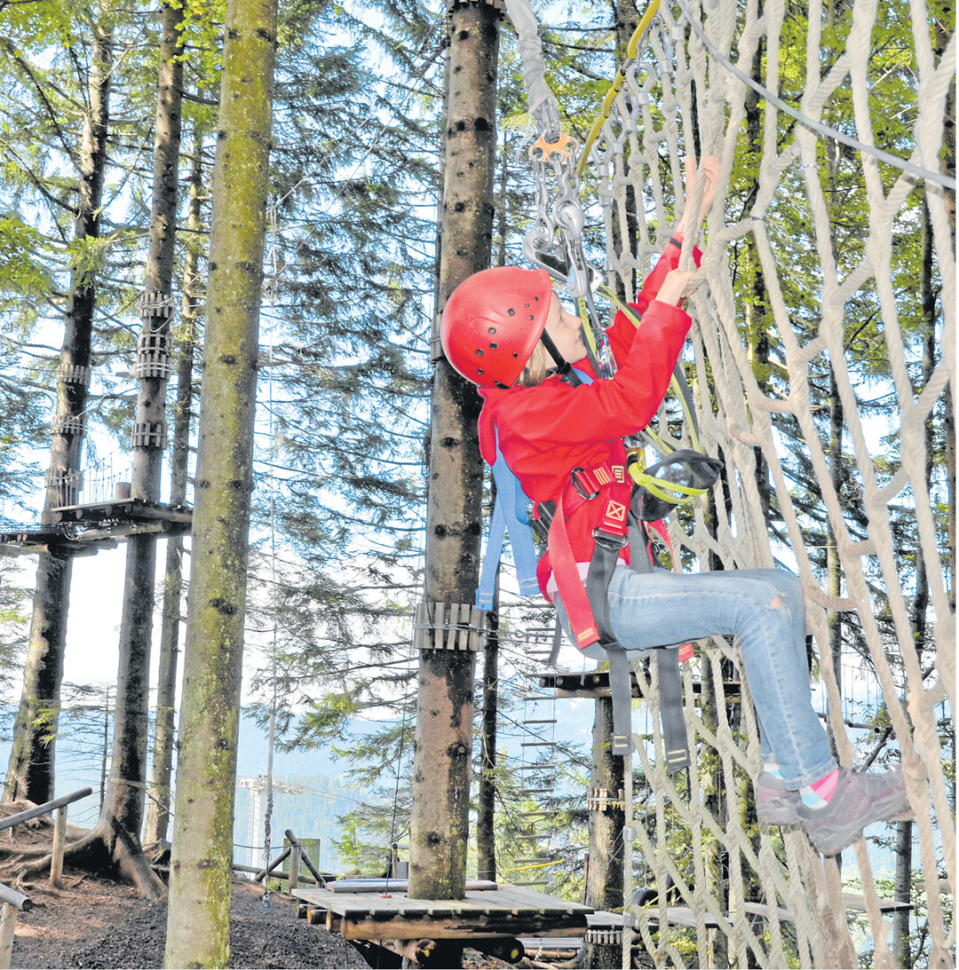 bild der woche In einem Waldseilpark gibt es Klettermöglichkeiten an lebenden Bäumen. Viele der derzeit neugebauten Kletterparks sind Waldseilparks. Die Plattformen des Hochseilparks sind im Freiland oder auf einer Wiese an künstlich errichteten Pfählen befestigt, zwischen denen sich die Übungen befinden. Eine Liste von Kletterparks in Baden-Württemberg finden Sie im Internet unter www.kletterparks.info