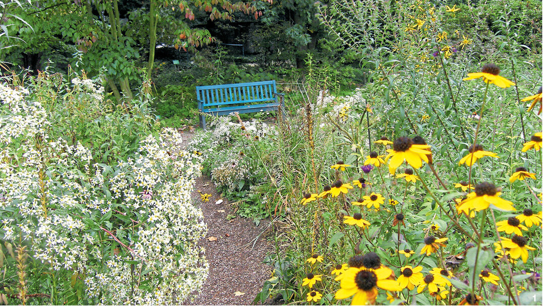 Der Schaugarten Hermannshof in Weinheim holt die nordamerikanische Prärie ins Ländle. Über Pfade gelangt man durch das Gartenparadies.