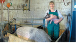 Landwirtin Claudia Albrecht demonstriert, wie ruhig das Ferkel auf ihrem Arm ist.