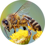 Foto: Daniel Prudek /Shutterstock.com