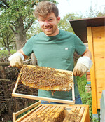 Tobias Hinderers Bienen dürfen naturnah bauen. Die Waben werden nicht vom Imker vorgegeben, sondern sie bauen sie selbst.