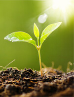 BIOX-M wird jetzt von Biofa vertrieben.