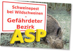 Immer wieder sorgen ASP-Ausbrüche für strenge Beschränkungen auf schweinehaltenden Betrieben.