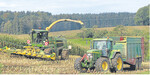 Der Grundstein einer guten Maissilage wird mit dem richtigen Erntezeitpunkt gelegt.