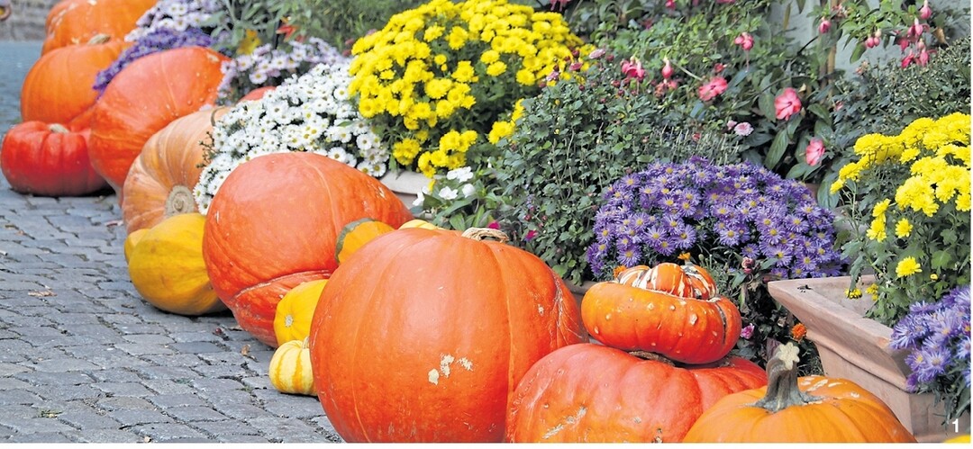 Eine Krbisgirlande entlang des Weges bringt warme Herbstfarben in die Dekoration rund um Haus und Hof.
