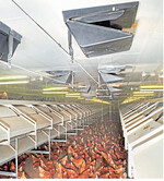 Kommen Deckenventile zum Einsatz, braucht man eine Zwischendecke.