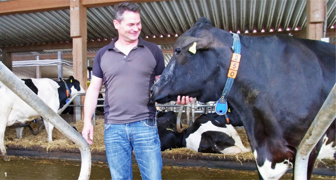 Mit dem Einsatz von gesextem Sperma wollen wir weibliche Rinder mit einem hohen genetischen Potenzial und besten Werten bei Gesundheit und Nutzungsdauer züchten", erläutert Holsteinzüchter Matthias Uhrenbacher die Gründe für die Verwendung der geschlechtsbestimmten Samenportionen bei den leistungsstärksten Kühen und Rindern in der Herde.