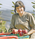 Die gewünschte Ausnahmeregel für Saisonarbeitskräfte wurde vom Gesetzgeber nicht umgesetzt.