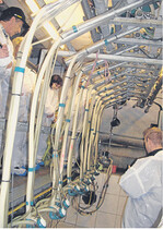 Der Familienbetrieb Heberle hält 350 Milchziegen mit Nachzucht nach den Richtlinien von Bioland.