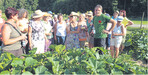 Exkursion auf den Kürbisacker: Engelbert Lanz führt die Langnauer Landfrauen über seinen Betrieb und stellt Klassiker und Neuzüchtungen vor.