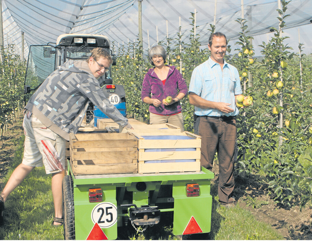 In diesem Jahr vermarktet Familie Brielmayer ihre Äpfel erstmals als Umstellungsware. Sohn Jonas pflückt mit seinen Eltern Sabine und Karl gerade die Frühsorte Delbarestivale. Geplant ist, das noch auf den Anbau aus Integrierter Produktion (IP) ausgerichtete Sortiment durch schorfrobustere Sorten zu ergänzen.