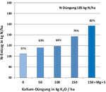 Einfluss von K, Mg, S auf N-Aufnahme Einfluss der Kalium- und Magnesium-Schwefeldüngung auf die Stickstoffaufnahme bei Triticale.
