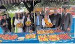 Apfelsaison eröffnet: Ministerialdirigent Joachim Hauck (2. v. r.), der stellvertretende Vorsitzende der Obstregion Bodensee, Erich Röhrenbach (5. v. r.) und Dr. Egon Treyer, Geschäftsführer der Marktgemeinschaft Bodeseeobst eG (r.), umrahmt von den Apfelhoheiten und weiteren Vertretern aus Landwirtschaft und Politik.