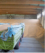 Das knappe Angebot an Getreide eröffnet Chancen in der Vermarktung. Wer kann, lagert ein und wartet ab.