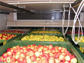 Bei der Einlagerung sollte auf ausreichend Abstände der Kisten geachtet werden, damit die Lagerluft ungehindert zirkulieren kann.