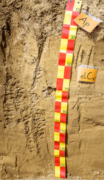 Goethit verleiht den Böden der gemäßigten Klimazone ihre charakteristische Färbung. I