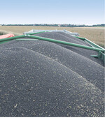 Wer jetzt Raps mit Gewinn vermarkten will, muss auf der Hut sein.