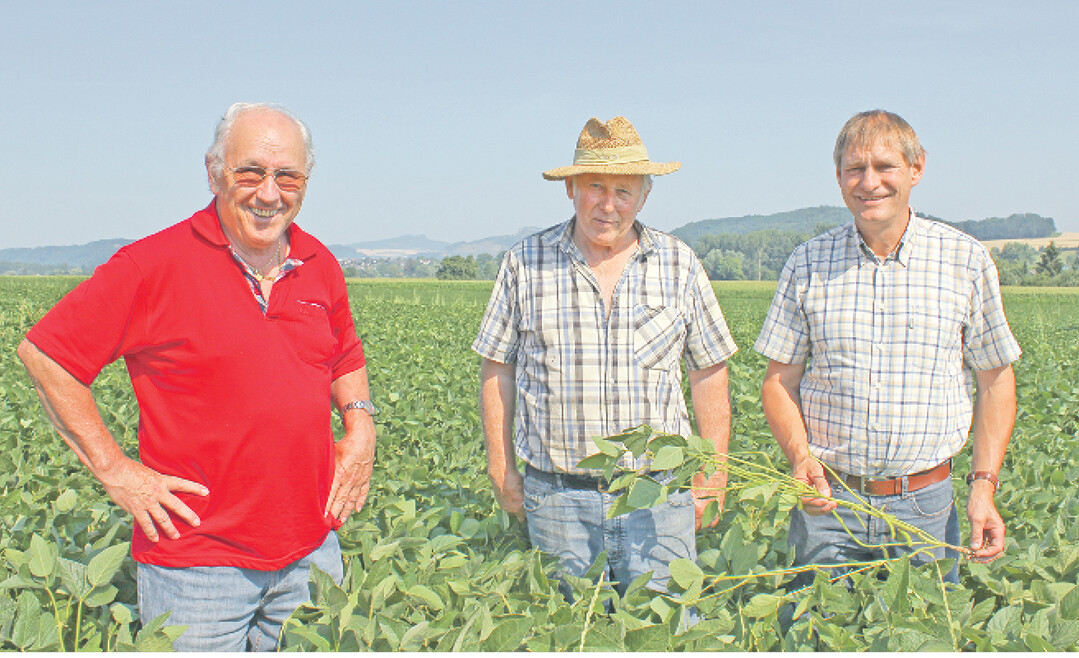Wenn Sojabohnen angebaut werden, muss danach eine Winterkultur kommen oder eine Zwischenfrucht. Das verlangen die Greeningrichtlinien. Auf dem Feld von Rainer Riedlinger, Singen-Bohlingen, stehen 600.000 bis 700.000 Pflanzen pro Hektar. Sie beschatten den Boden und sind von daher auch sehr wertvoll für die nachfolgende Frucht. „Der Weizen nach Sojabohnen sieht einfach fast immer gut aus", freut sich Riedlinger. Daran haben auch die ZG-Berater Dieter Block (links) und Hubert Sprich (rechts) ihren Anteil.