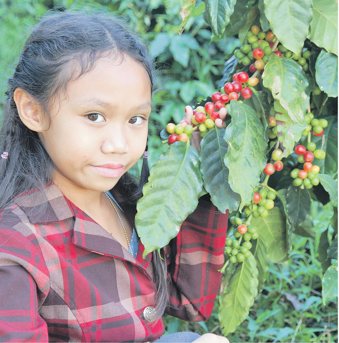 Auch Kleinbauern in Südamerika oder Afrika wünschen sich faire Preise für ihre Erzeugnisse Kaffee, Kakao, Bananen oder Ananas, genauso wie Arbeiterinnen auf Kenianischen Rosenfarmen und Teeplantagen, um ihren Kindern die Zukunft zu sichern. Ab 11. bis 25. September machen Weltläden, Supermärkte und andere Organisationen mit bundesweit über 2000 Aktionen auf den Fairen Handel aufmerksam und ermuntern zum bewussten Einkauf. Mehr Infos: www.fairewoche.de