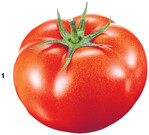 Die Tomate ist eines der bekanntesten pflanzlichen Lebensmittel, die gentechnisch verändert wurden.