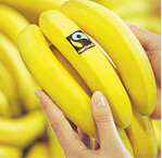 Bananen zählen zu den ersten Produkten aus fairem Handel mit dem Siegel von Fair Trade.