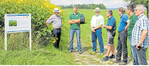 Information am Ackerrand: Christian Ziegler (l.), Vorsitzender des Kreisbauernverbandes Heidenheim, und Thomas Häcker (2. v. l.), 1. Vorstand der Energiegenossenschaft Gussenstadt, besuchen mit dem Abgeordneten Martin Grath (3. v. l.) und weiteren Vertretern der Energiegenossenschaft ein Silphiefeld am Rand von Gussenstadt.