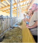 Im Milchviehstall von Familie Fehrenbach in Schonach.