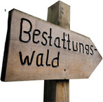 Friedwald, Ruheforst, Bestattungswald: Die Asche unter einem Waldbaum beizusetzen ist nur eine Variante von ökologischem Bestatten.