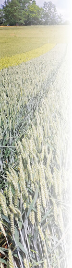 Der Prüfstandort Kraichtal im Juni 2022.