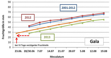 Fruchtgrößenentwicklung der Sorte Gala im Jahresvergleich