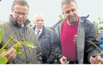 Peter Hauk, Hermann Hohl und Wolfgang Müller (v. l.), Weinbauleiter im Betrieb Schloss Affaltrach, messen den Reifegrad der Trauben.