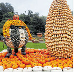 Die Kürbisausstellung im Blühenden Barock besteht zum großen Teil aus Kürbissen vom Obsthof Eisenmann.