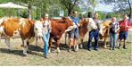 Die Siegerparade der Jungviehprämierung auf dem Kuckucksmarkt in Eberbach. I
