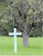 Die grünen Kreuze als Mahnung der Landwirte, dass es so nicht weitergehen kann.