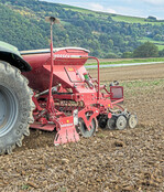 Wintergerste stellt hohe Ansprüche an Saatbett und Saattechnik.