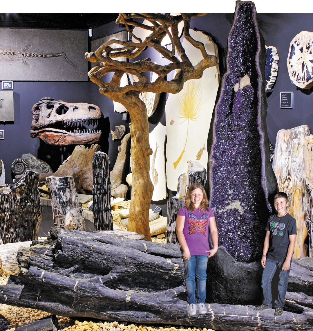 Riesenkristalle, Mineralien und Fossilien Einblicke in die faszinierende Welt der Kristalle" bietet das Museum der Familie Müller in Dietingen bei Rottweil: Naturwunder entdecken, Vergangenheit erforschen und im Shop fündig werden. Im Dokumentarfilm lässt sich der Abbau und die Verarbeitung der Kristalle in den Minen Südbrasiliens miterleben. Am Ortsrand von Dietingen bietet sich der Rundwanderweg durch ein Schwarzwildgehege (Grillplatz, Hütte) an. Zur Einkehr lockt der Genießerhof" der Familie Schittenhelm. In luftiger Höhe können dort im Schwarzwald-Baumhaus sogar zwei Personen übernachten (Infos: www.welt-der-kristalle.de, www.geniesserhof.de.