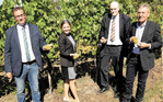 Landwirtschaftsminister Peter Hauk, die Badische Weinkönigin Sina Erdrich, Verbandsgeschäftsführer Peter Wohlfarth und Rainer Zeller, Präsident des Badischen Weinbauverbands, überzeugten sich im Weinberg von der vielversprechenden Traubenqualität.