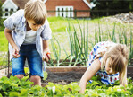 Kinder lernen mit Gartenarbeit wo Gemüse wächst.