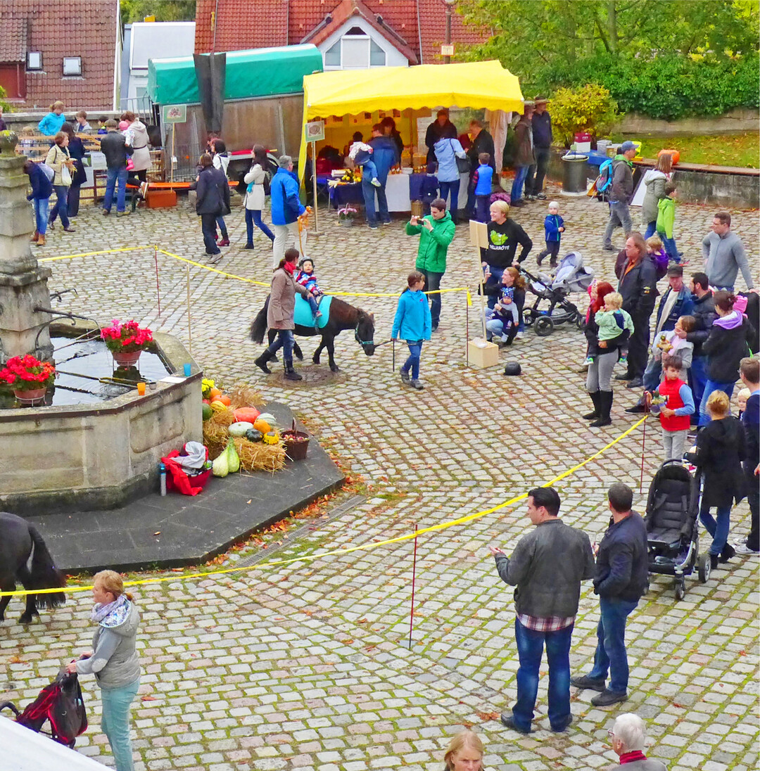 Herbstwirbeln in Waldenbuch Endlich wieder Familientag im Museum der Alltagskultur – Schloss Waldenbuch! Am, drfen Klein und Gro im Museum sowie im Schlosshof mit den tanzenden Herbstblttern um die Wette wirbeln. Auf die Gste warten zahlreiche Angebote vom Ponyreiten bis zum Krauthobeln, von der Kreativ-Werkstatt bis zum Kasperle. Der Eintritt ins Museum ist frei, ebenso in die neu erffnete Mitmach-Ausstellung „Geht doch! Erfindungen, die die Welt (nicht) braucht". Im Schlosshof wird Honig geschleudert und Kraut gehobelt. Bei der Verarbeitung von frisch geernteten Krautkpfen knnen Kinder und Erwachsene selbst mit Hand anlegen. Fr das gehobelte Kraut sollte ein Gef mitgebracht werden. Die „Eselsmhle" hat unterschiedlichste Brotsorten im Angebot. Beim Probieren lsst sich der Geschmack verschiedener Getreidesorten entdecken. Vor dem Hoftor werden historische Traktoren und Krbisse in allen Gren und Farben prsentiert.